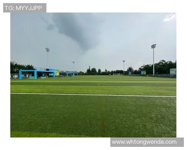 飞盘深度：解密西安飞盘队的区域防守