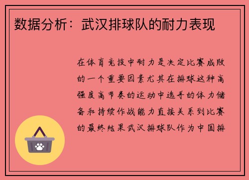 数据分析：武汉排球队的耐力表现