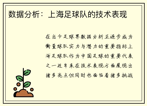 数据分析：上海足球队的技术表现