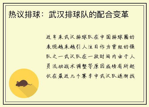 热议排球：武汉排球队的配合变革